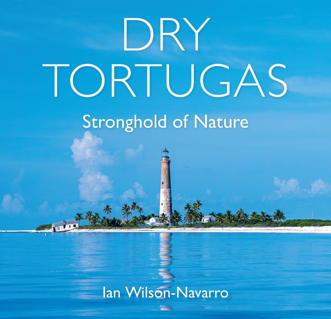A book cover