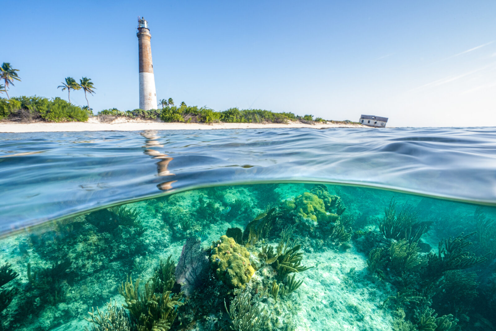 A coral reef underwater with a lighthouse above it on the sand