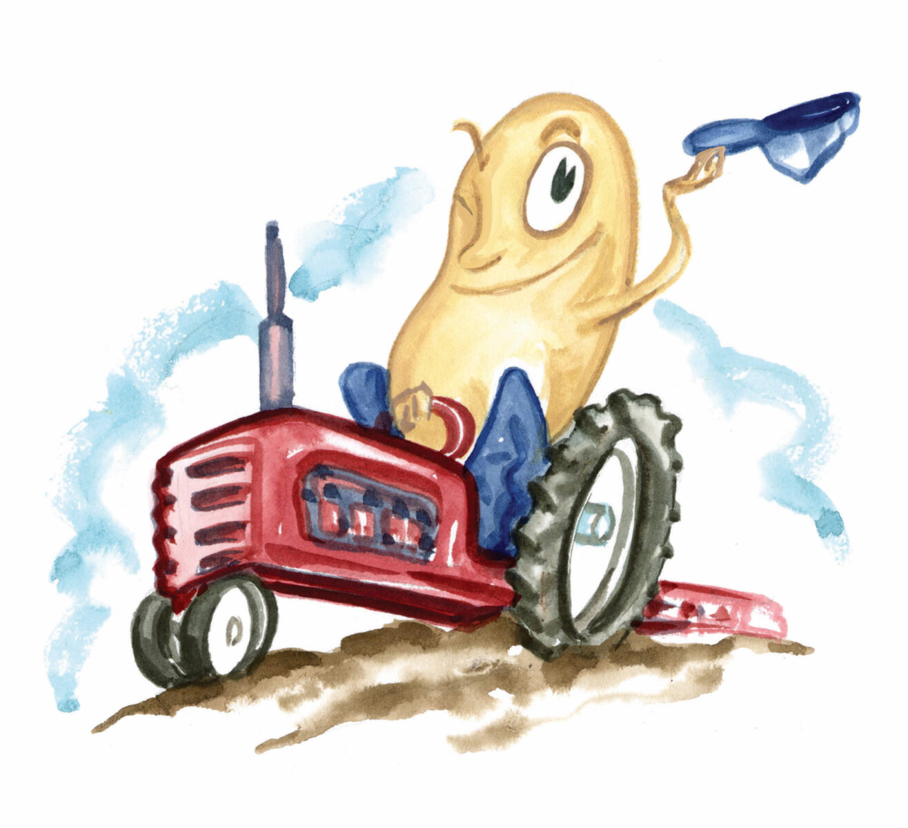 An illustration of a peanut riding a tractor
