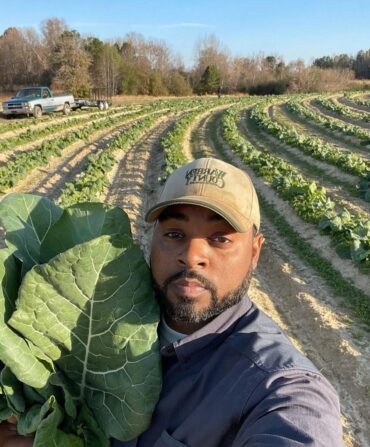 A man stands in a collard field