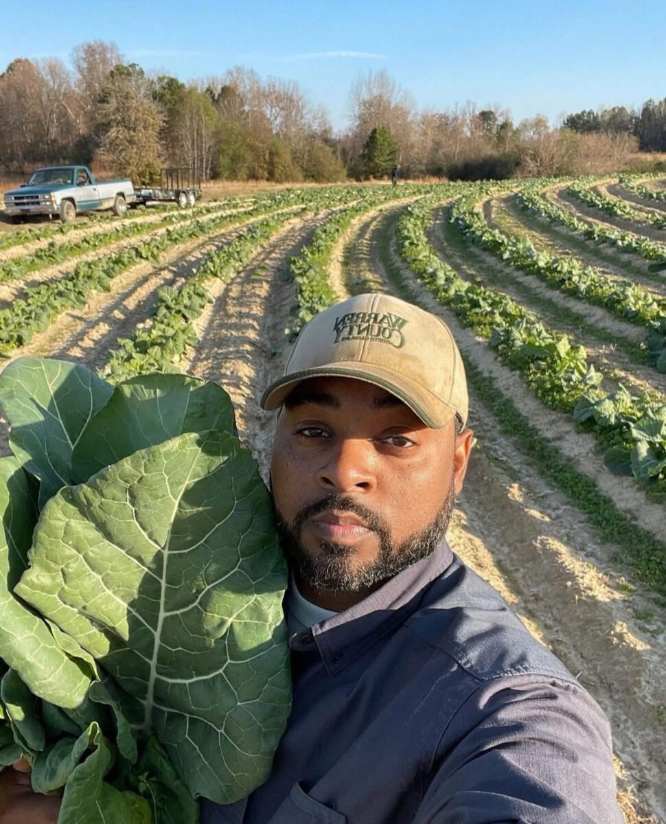 A man stands in a collard field