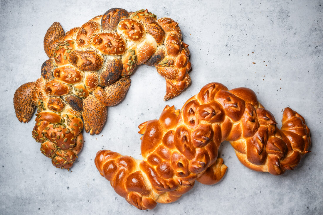 Two loves of challah shaped like alligators