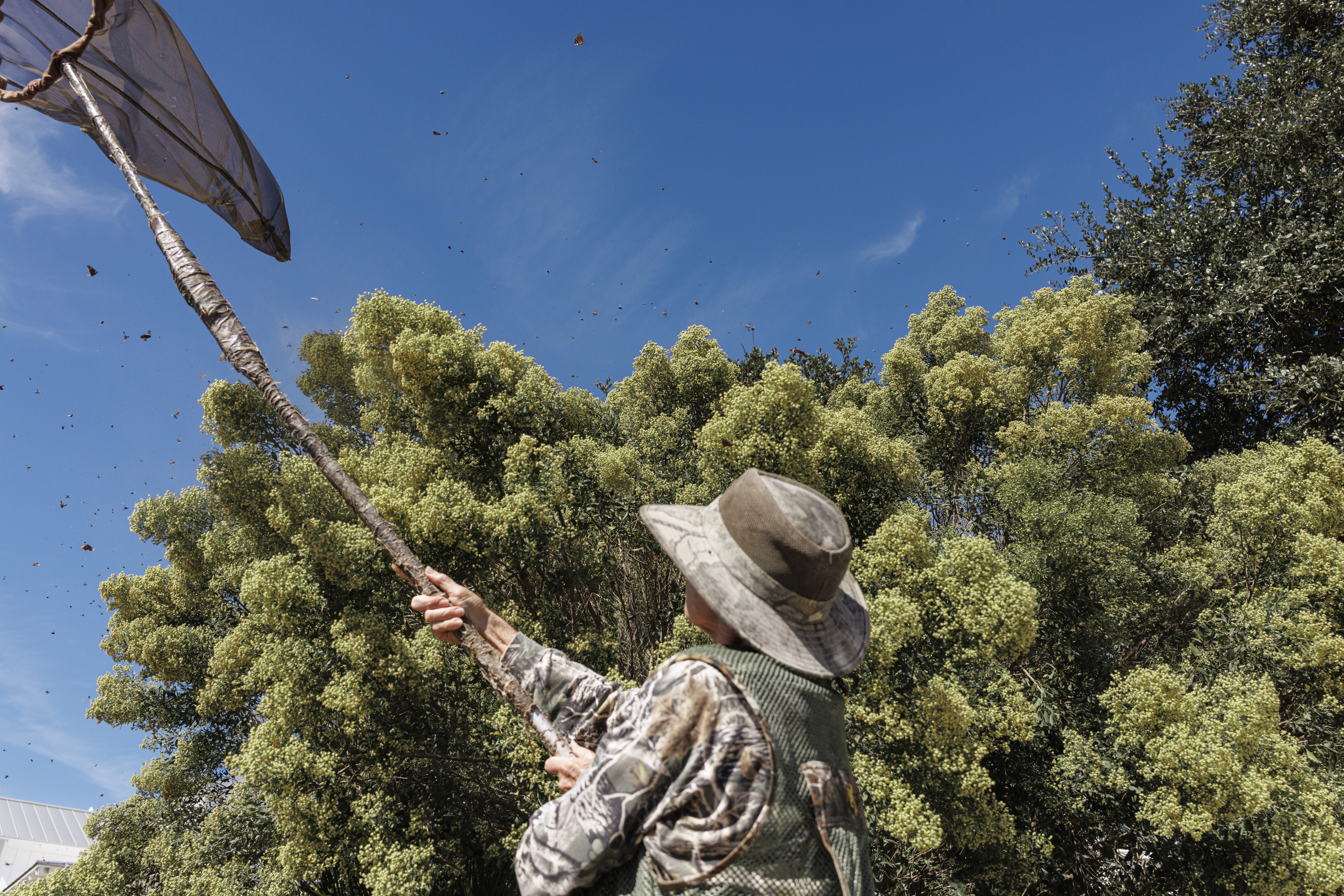 A man swings a bug net through the air