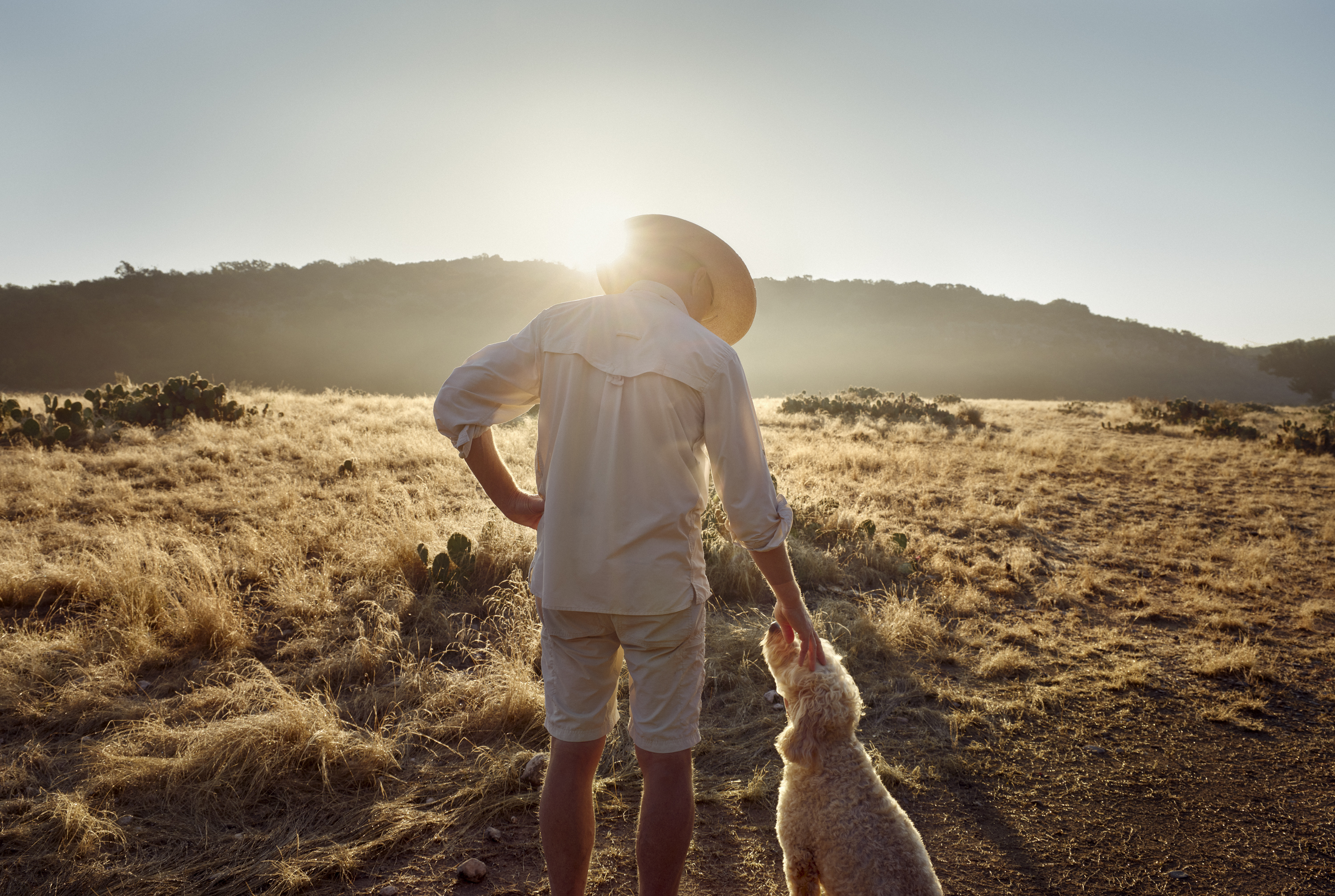 A man pets a dog while they stand on a prarie