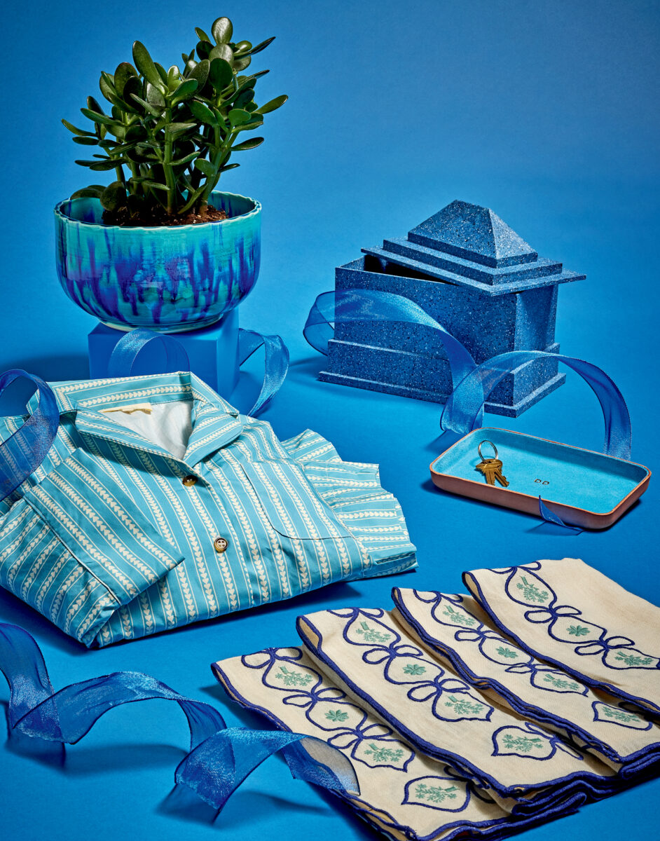 A blue stripe shirt, potted plant, napkins, and boxes on a blue background