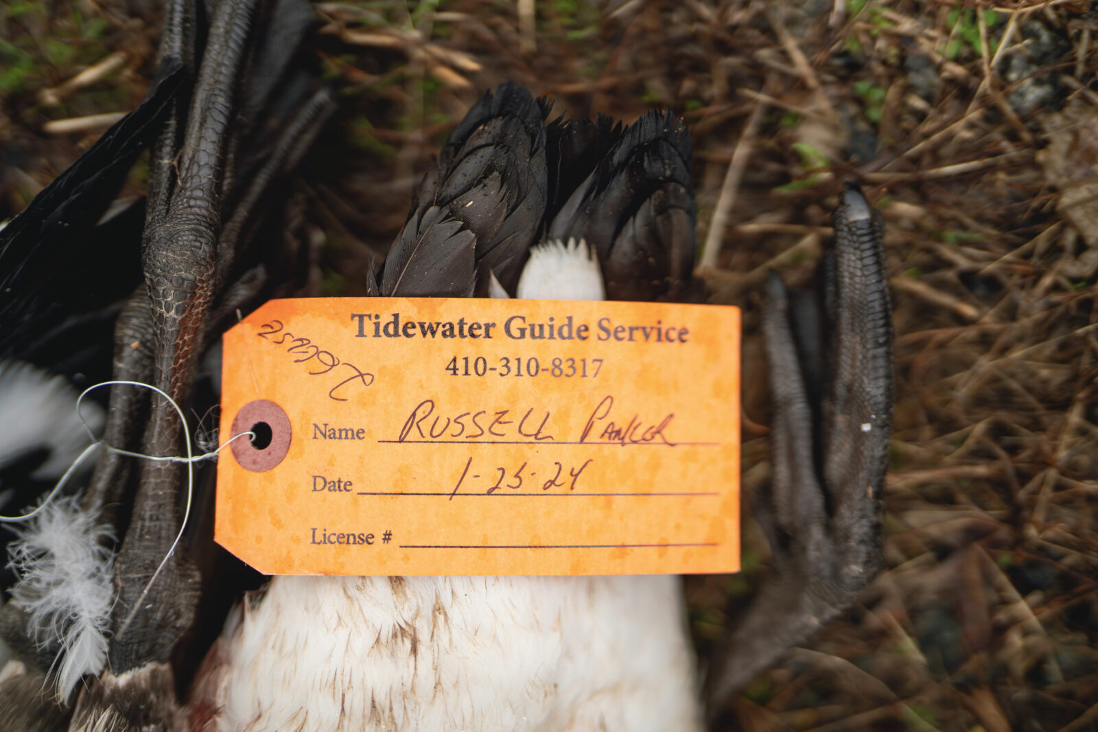 An orange tag on a goose foot