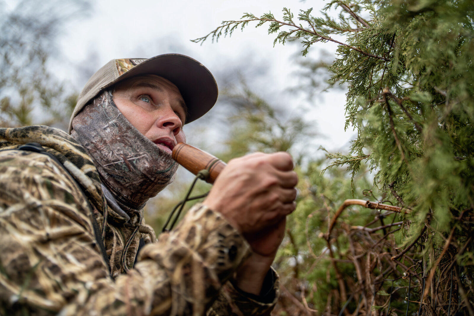 A person uses a duck call and is dressed in camo