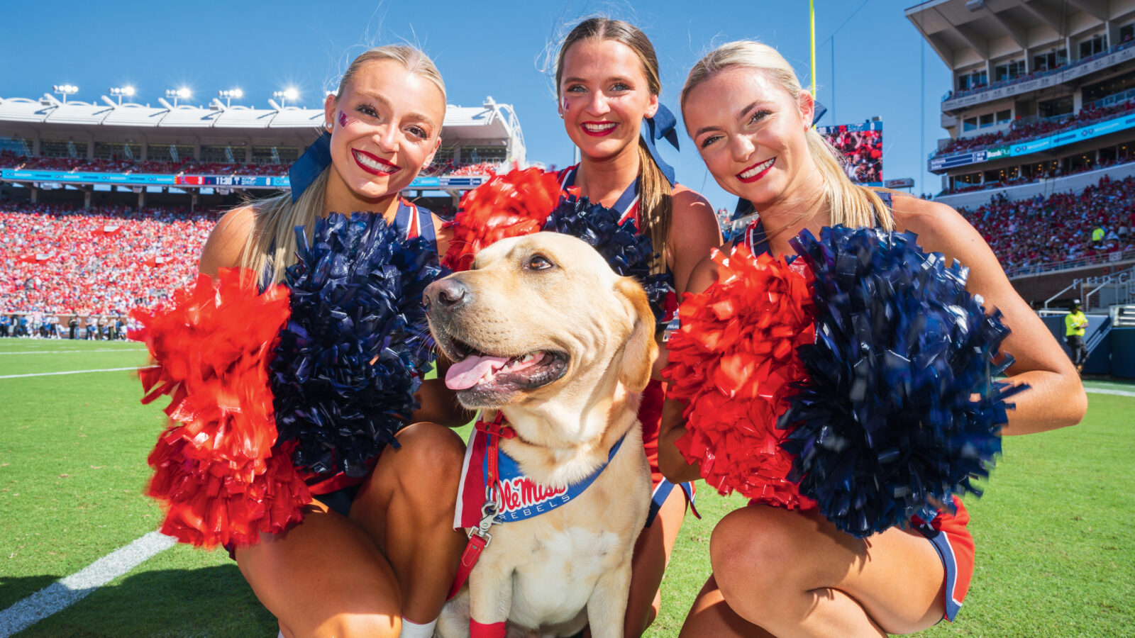 A yellow lab sticks his tongue out while surrounded by cheerleaders on a football field