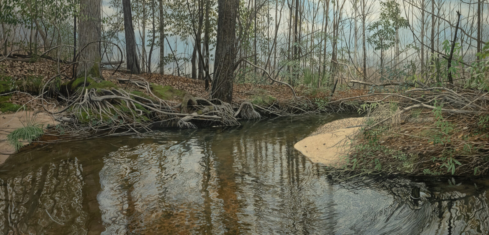 A painting of a creek with gnarled tree roots along the bank