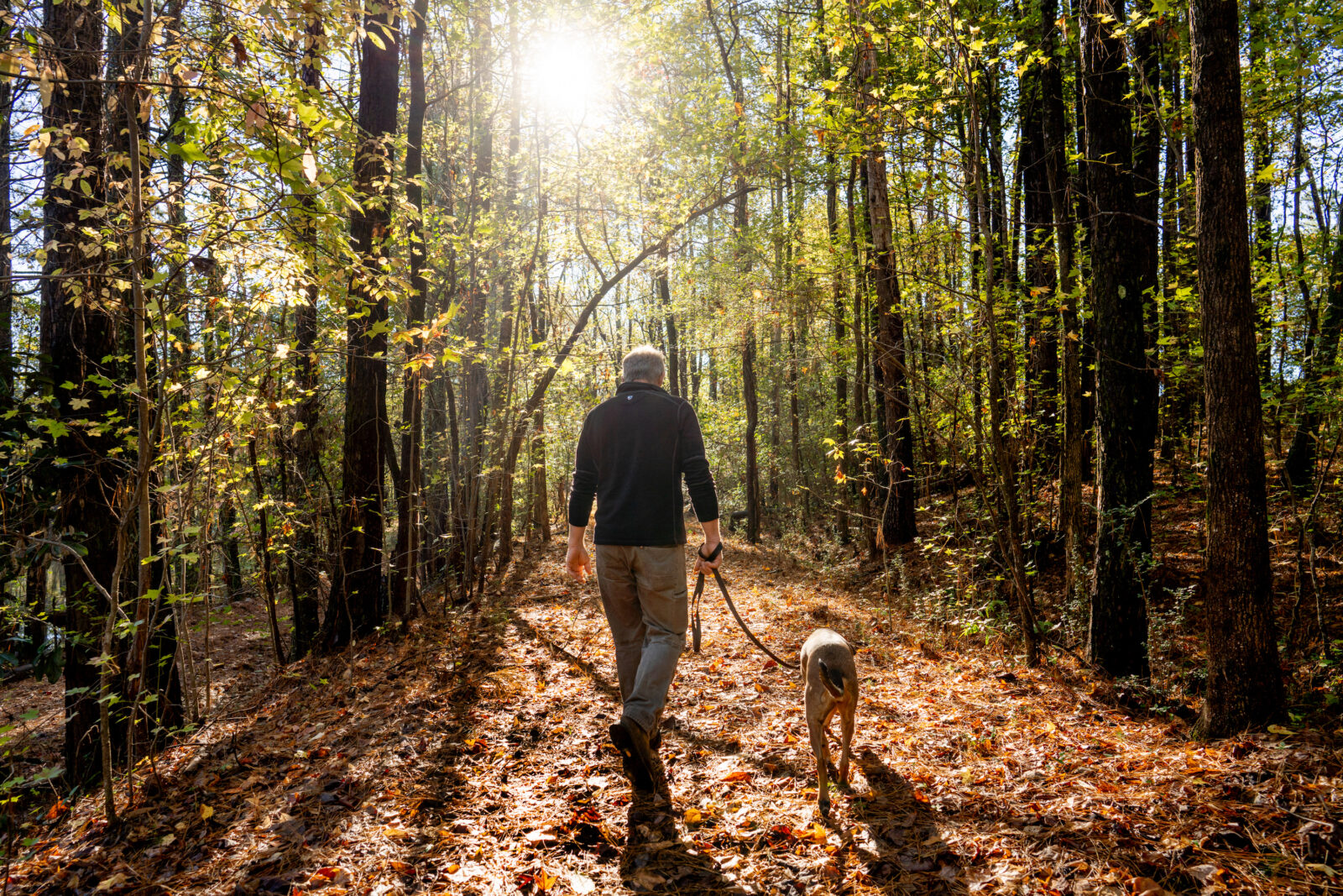 A man walks through the woods with his dog