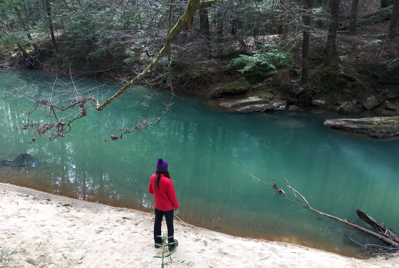 A person in a red coat stands by green water in a forest