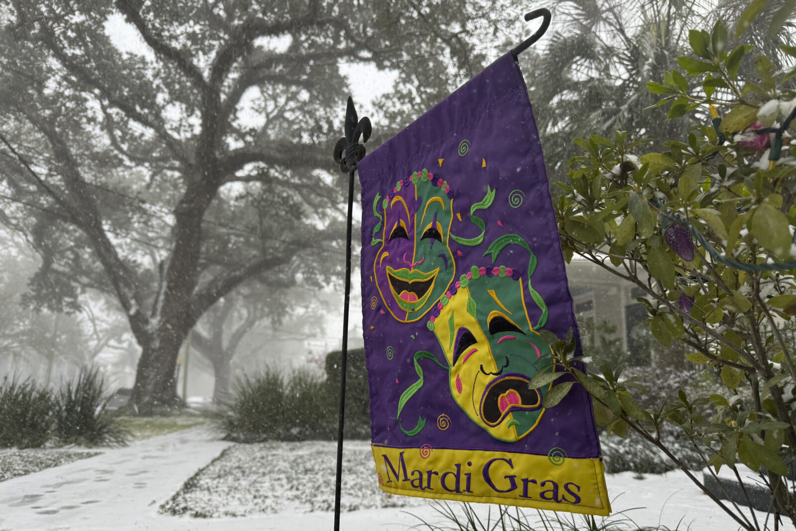 A Mardi Gras flag gets a dusting of snow