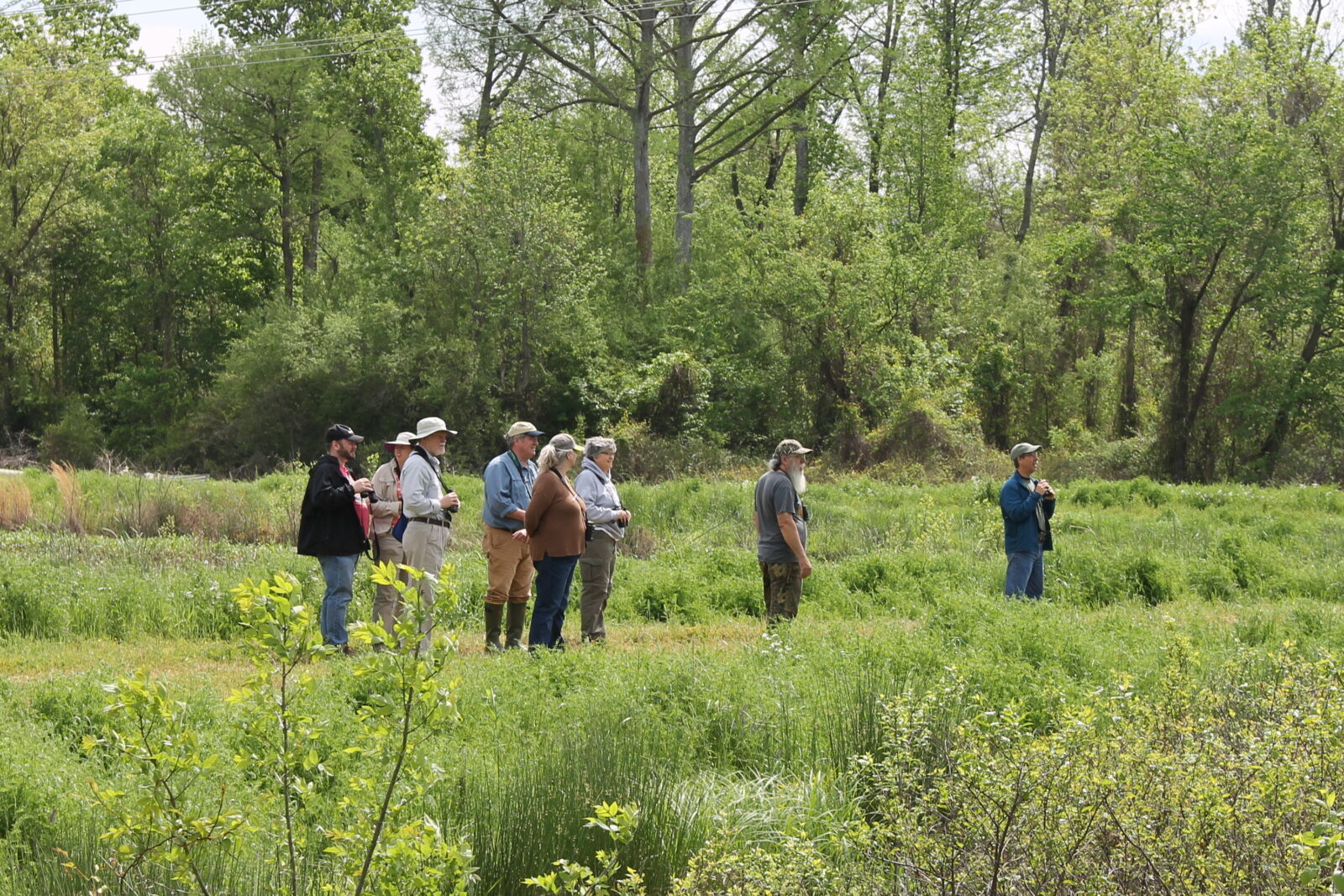 Group of birdwatchers stands in a meadow