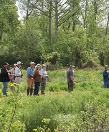 Group of birdwatchers stands in a meadow