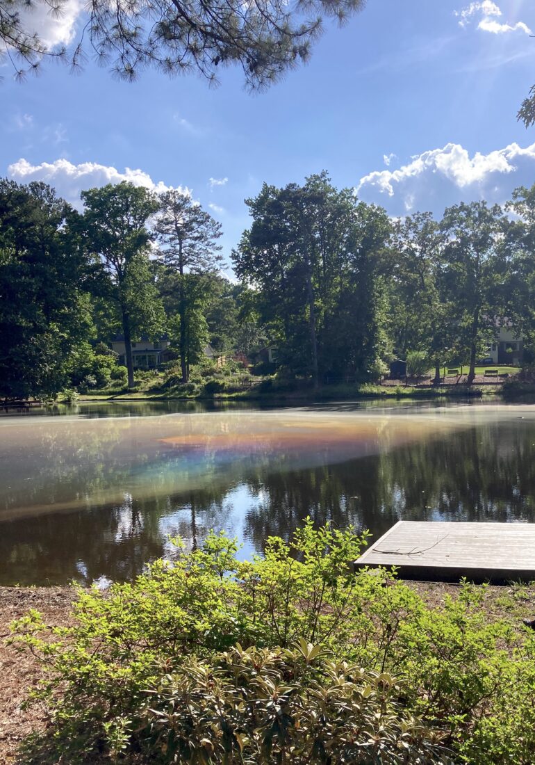 A pond of water with a rainbow on the top of the surface