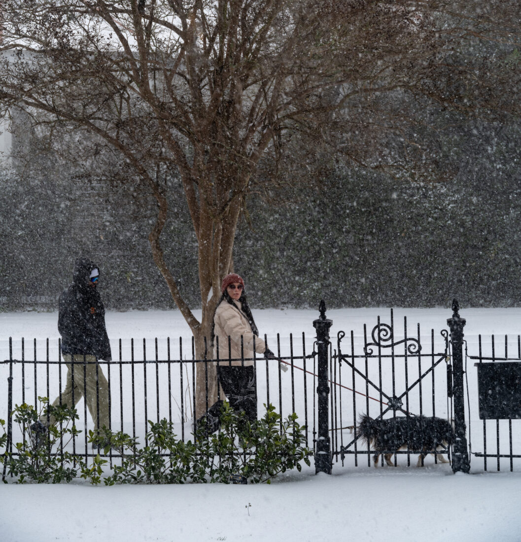 A man and woman walk their dog in the snow
