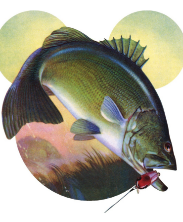 A painted illustration of a green bass fish in front of a marsh. The marsh is cut-out like a Mickey-Mouse head.