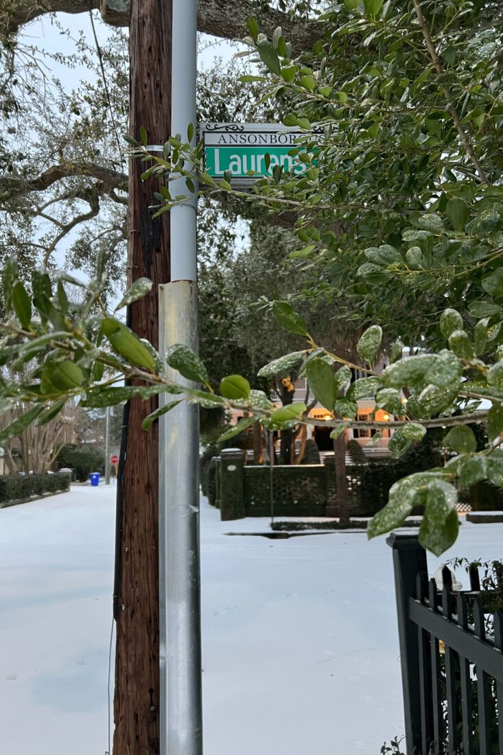 A street sign among frosted plants
