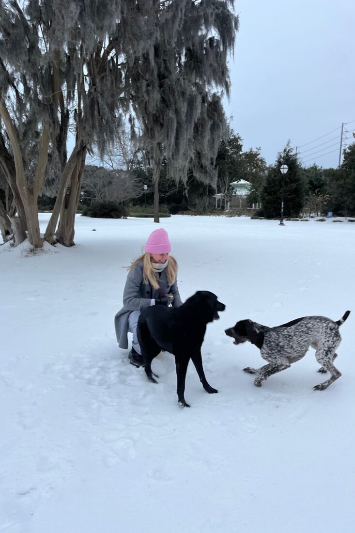 Two dogs playing in the snow