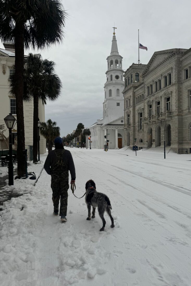 A man and his dog on a snowy street