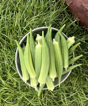 A sieve full of okra