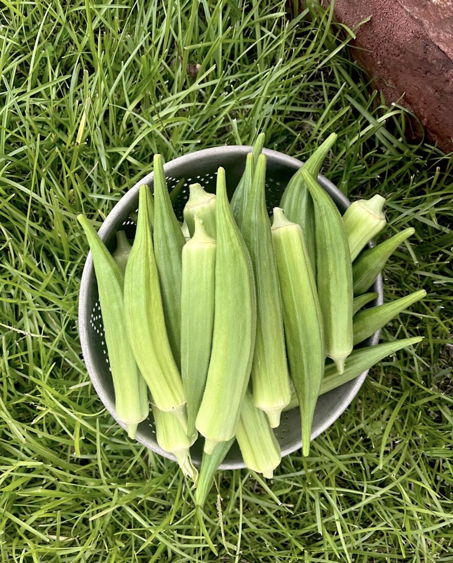 A sieve full of okra