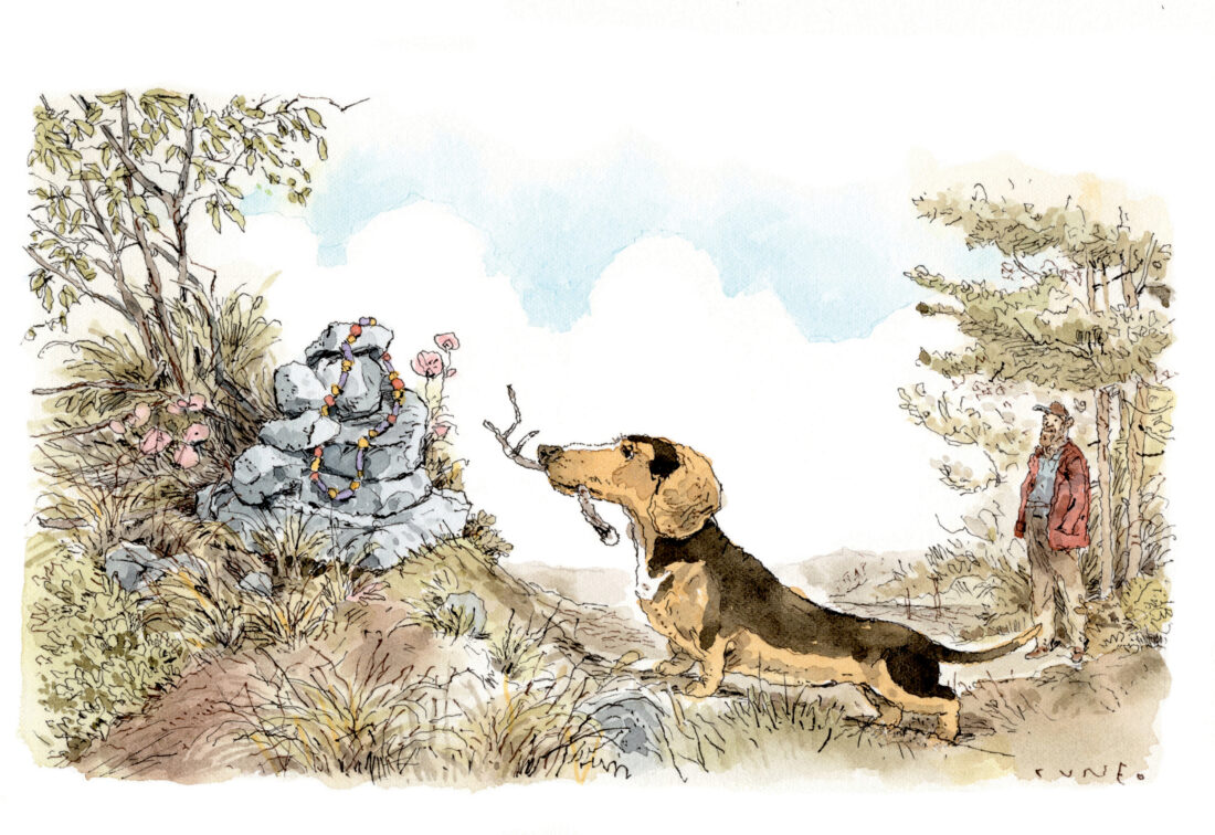 An illustration of a mixed breed dog putting a stick on a decorated gravesite. Int he background, a man watches