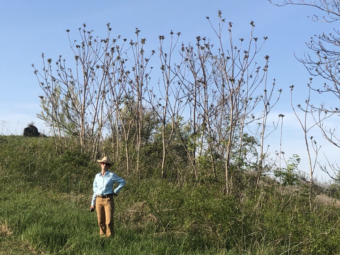 A woman stands in a field