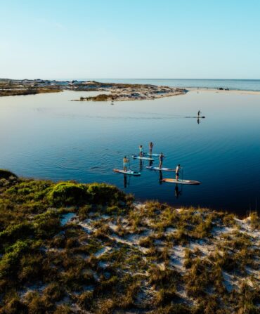 A group of people paddle board on a beach