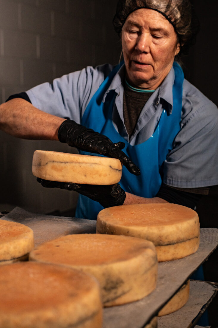 A person holds a wheel of cheese