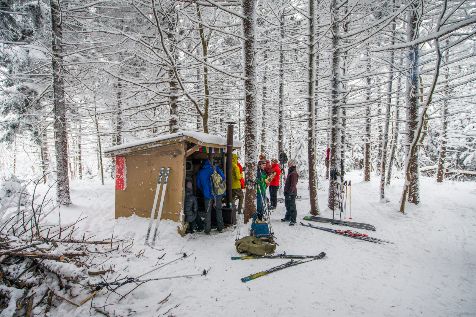 People in a snowy woodland gather under a warming shelter with their skis