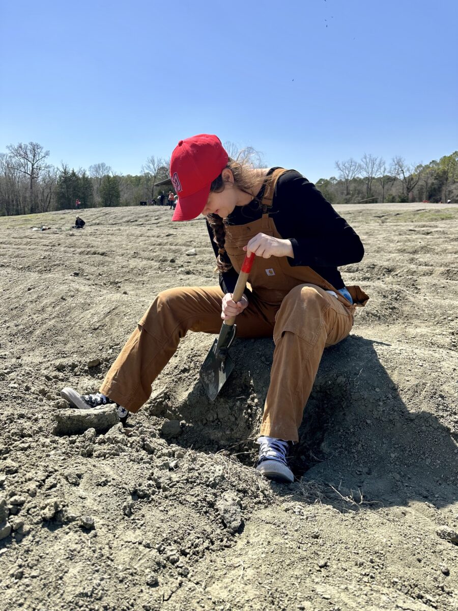 A woman digs in the dirt