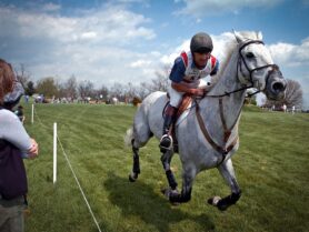 A man riding a gray horse