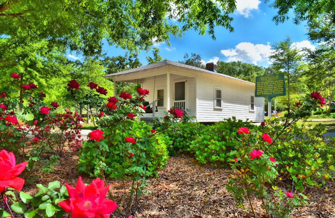 A white cottage surrounded by pink rose plants