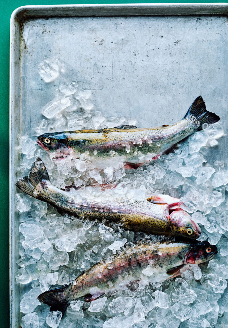 Rainbow trout on ice