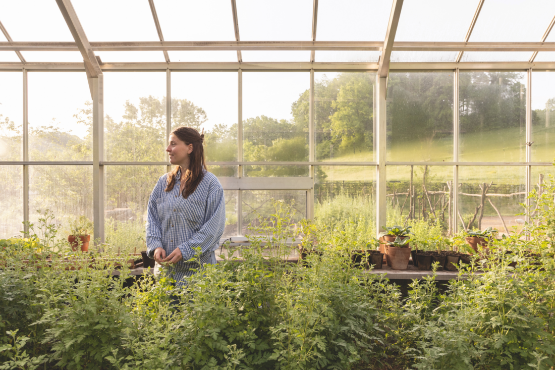 A woman standing in a greenhouse