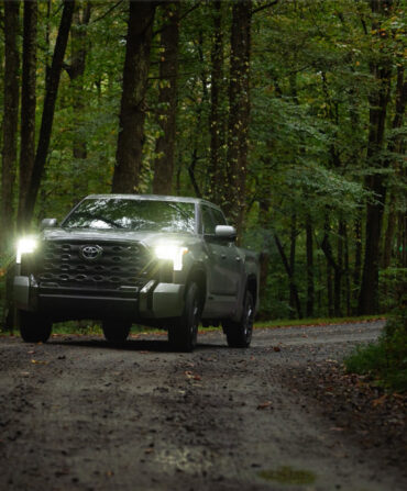 A truck in the woods