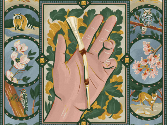 An illustration of a hand holding a wingbone call with a quilt-like display of wildlife around it