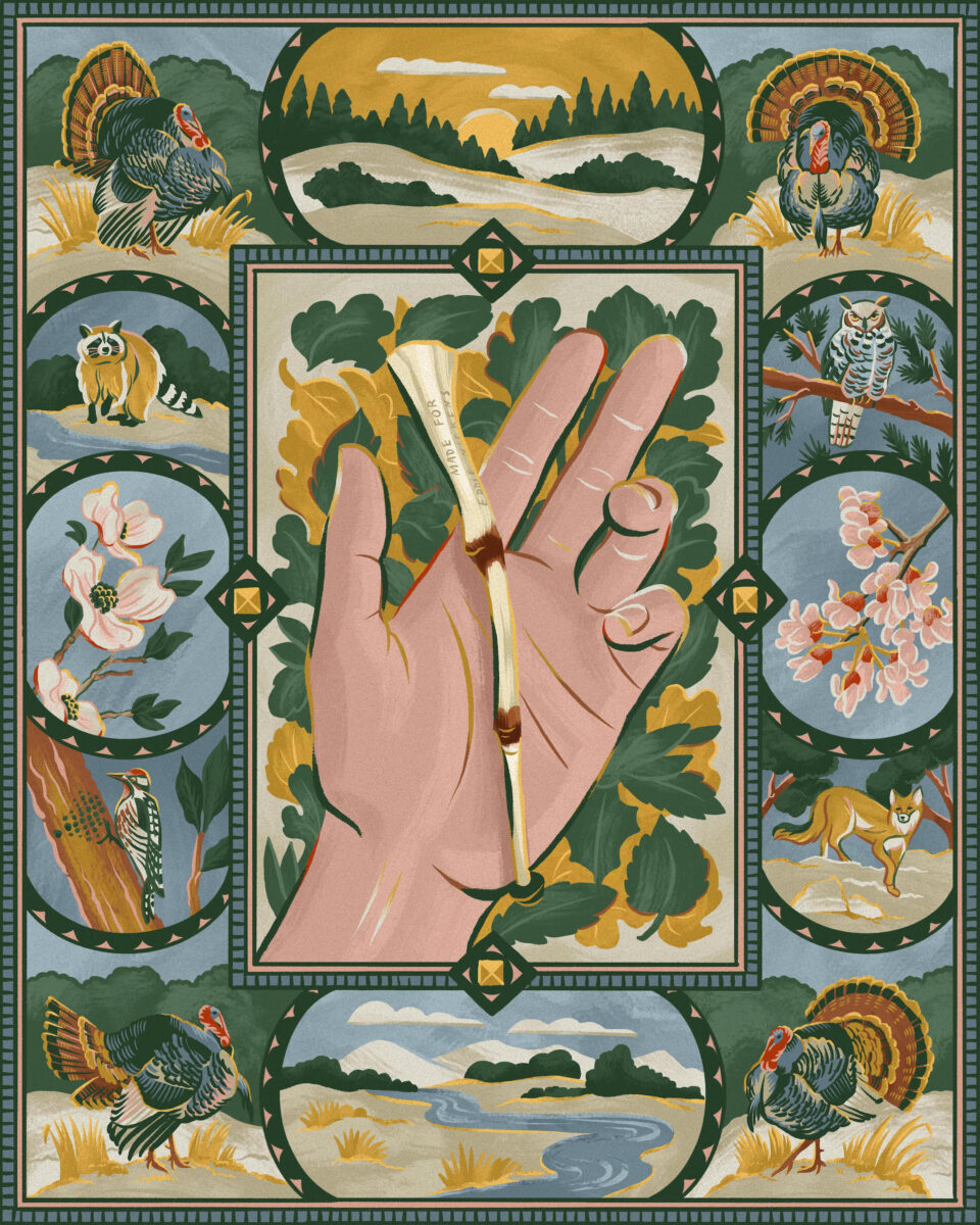 An illustration of a hand holding a wingbone call with a quilt-like display of wildlife around it