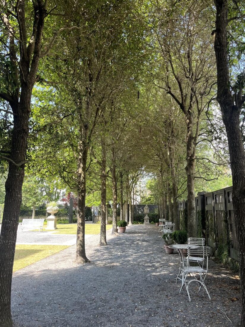 A courtyard with an allee of live oaks