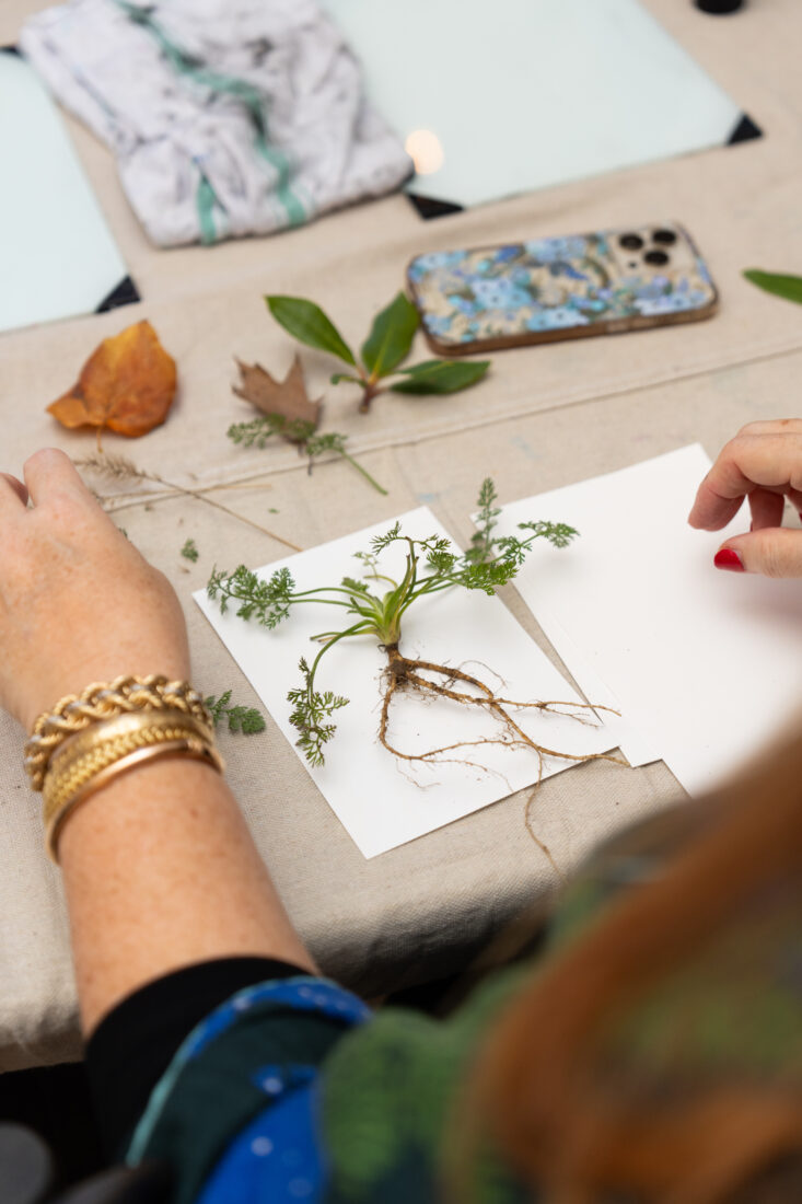 The Cataloochee Ranch Arts Team lead lessons in monoprinting, utilizing locally foraged wild flowers and native trees.