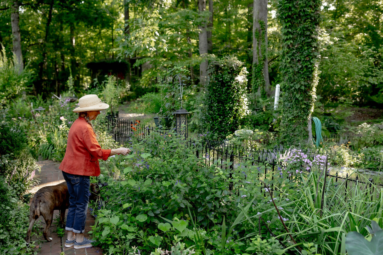 A woman stands in a garden