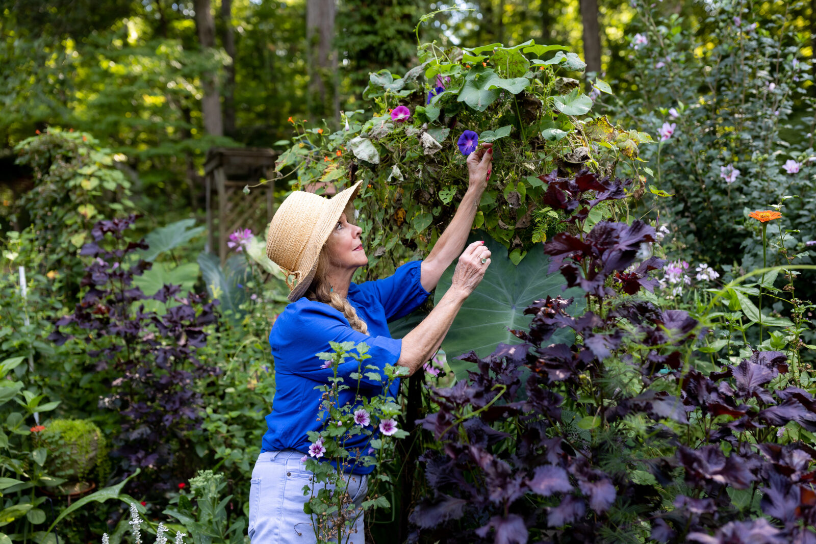 A woman reaches for flowers in a garden