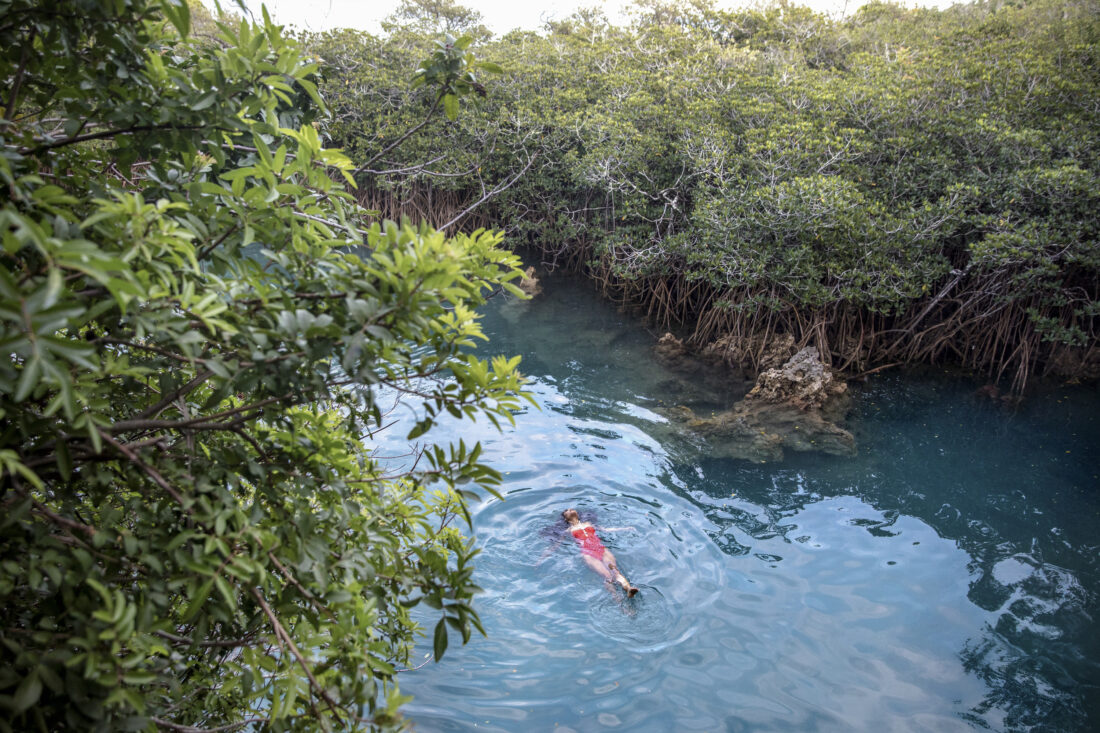 A woman swims in a blue natural pool