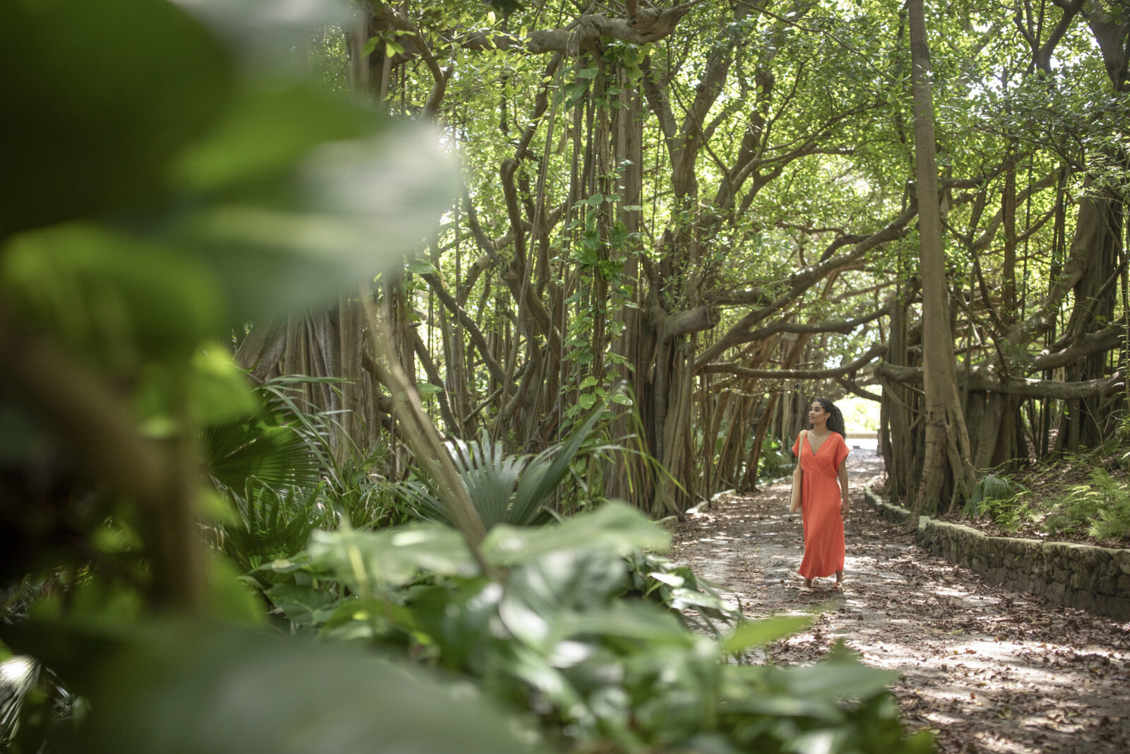 A woman walks in a shaded park