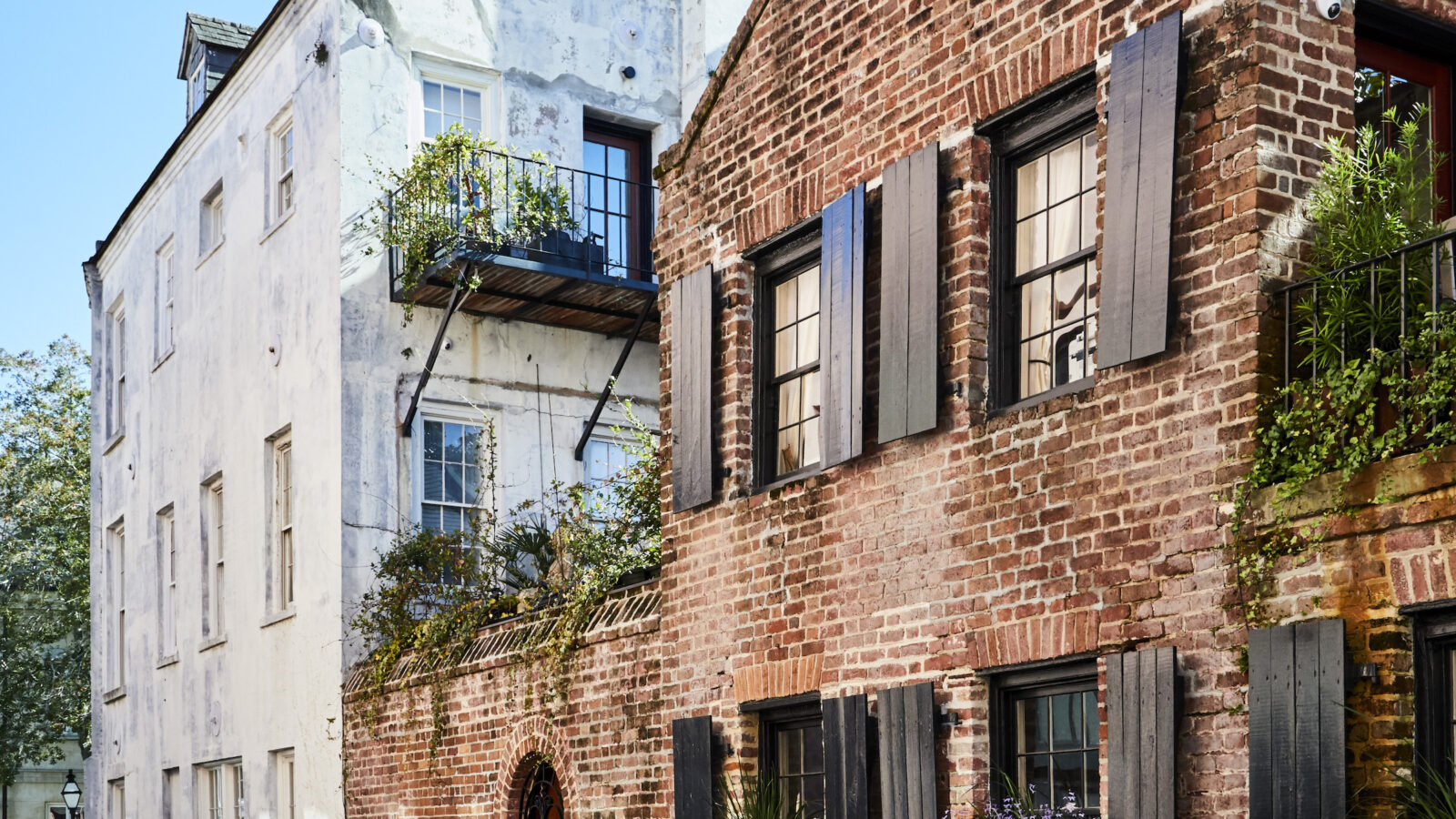 A woman and dog walk down an alley