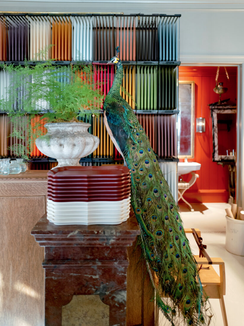 A taxidermy peacock by a wall of taper candles