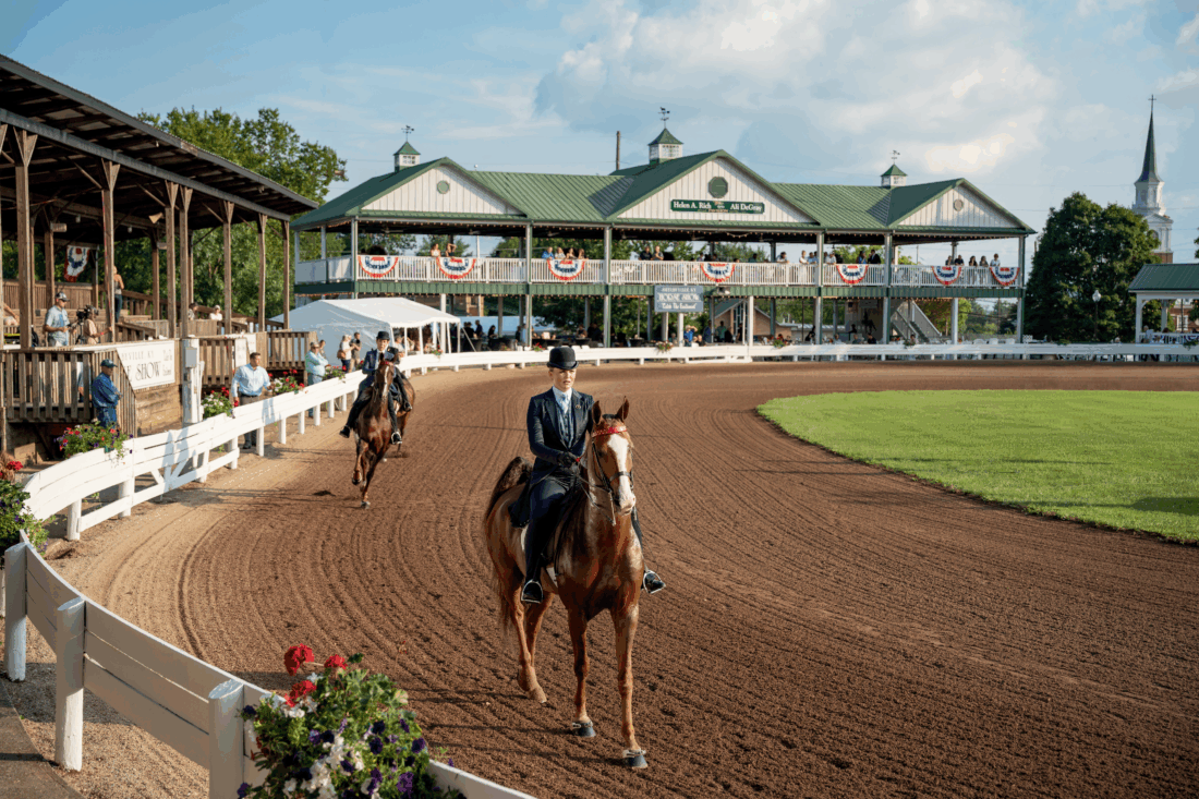 SHELBY COUNTY, KENTUCKY
Tucked between Louisville and Lexington, Shelby County, the American Saddlebred Horse Capital of the World, boasts more than one hundred farms and the prestigious Shelbyville Horse Show. With upscale boutique shopping, celebrated Southern cuisine, and legendary bourbon, including Jeptha Creed and Bulleit distilleries, this county distills the best of Kentucky’s finest traditions into one unique destination.
VisitShelbyKY.com
@Visit_ShelbyKY