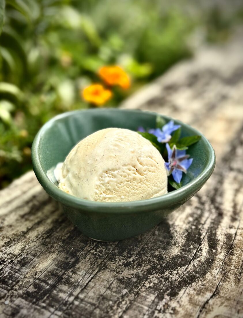A bowl of ice cream