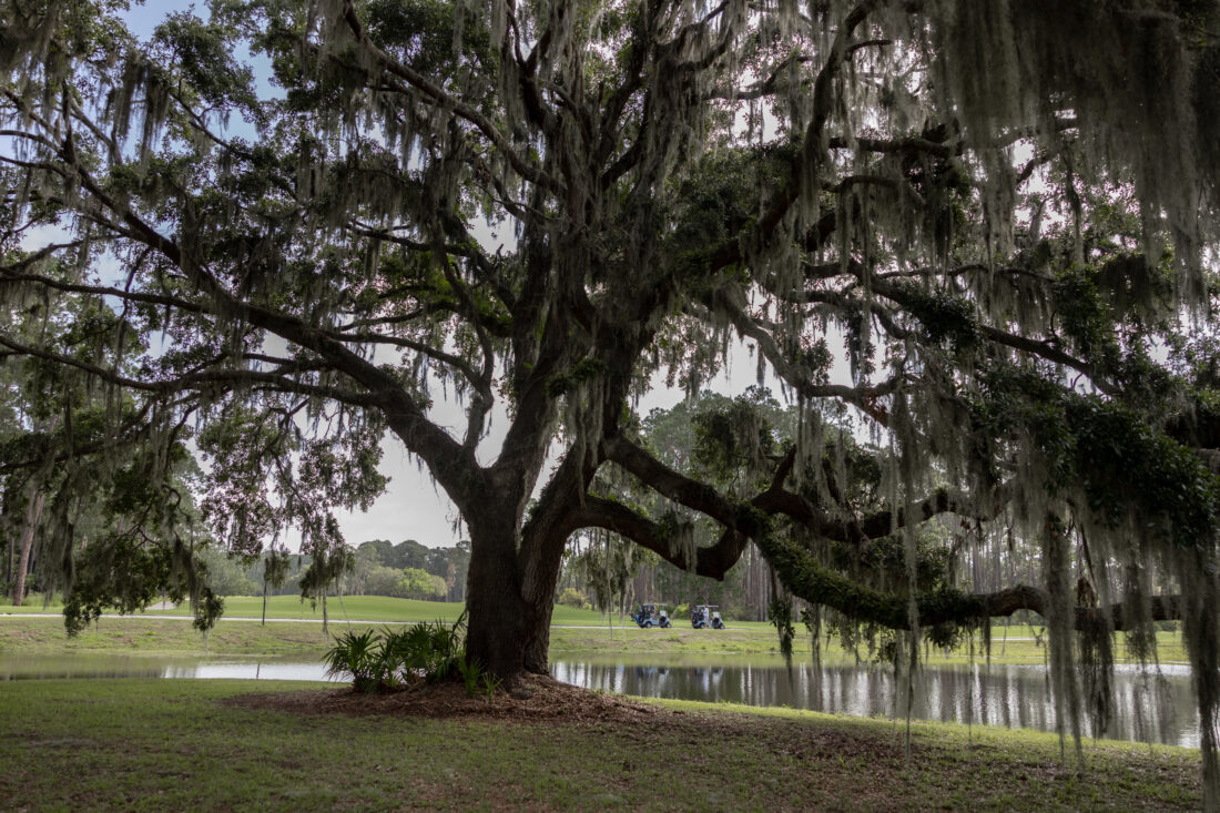 Pine Lakes golf course on Jekyll Island provides a beautiful backdrop for a day at the links.